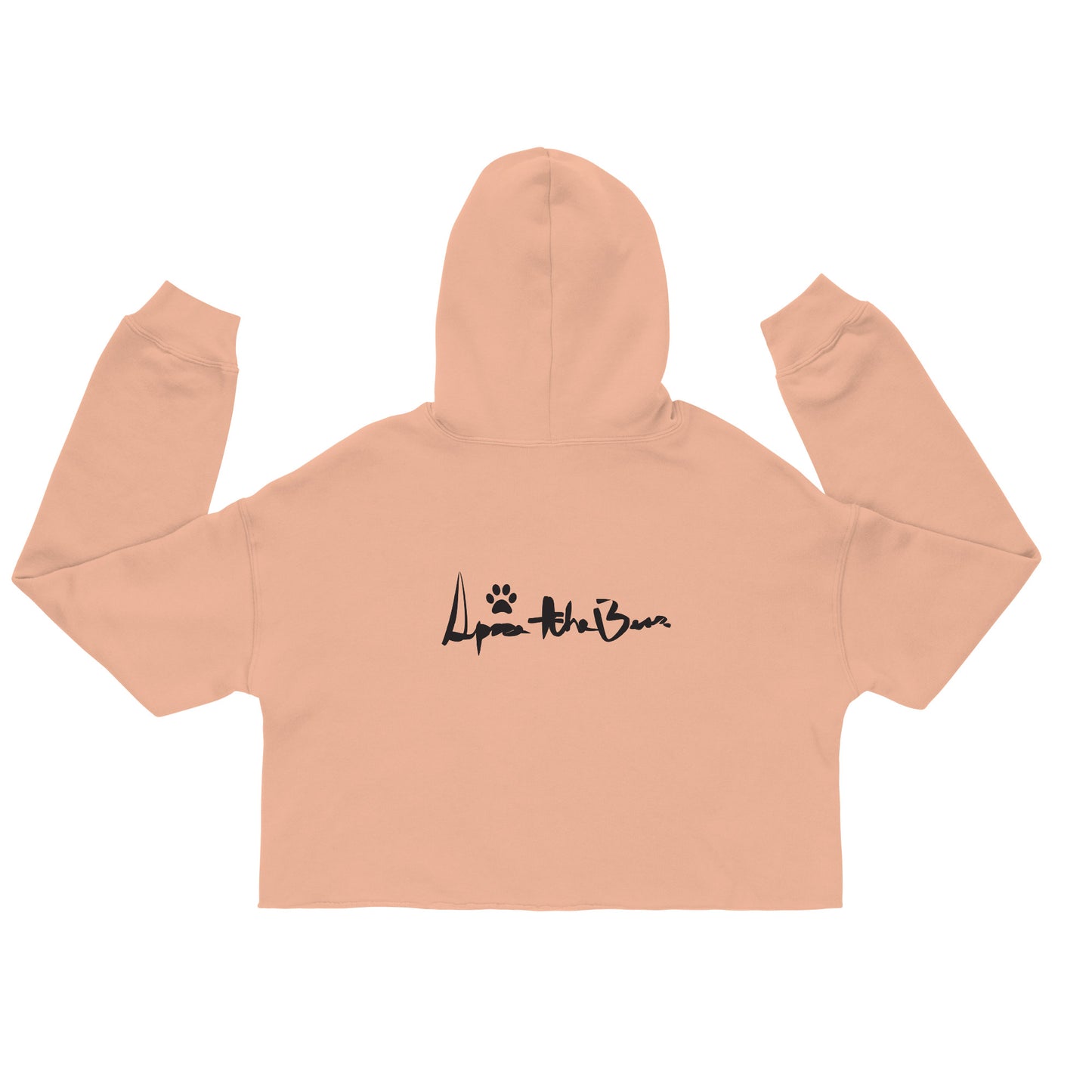 SPARE CROP HOODIE